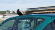 240515_JA_EMVO-7.jpg